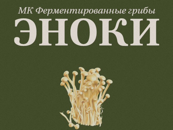 [Мария Сочилкина] [fermentinwonderland.ru] Фермент_0.png